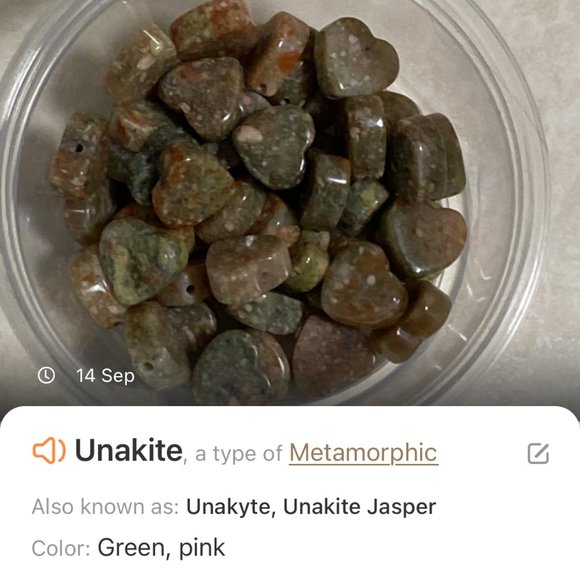 2/$20, Natural Unakite Stone Heart + Dog Person Dangle Earrings - Picture 7 of 9